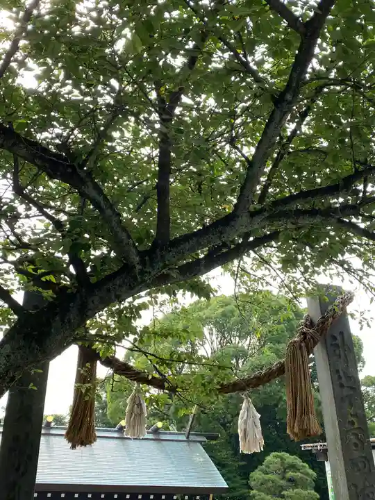 伊勢山皇大神宮の山門・神門