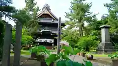 信濃國分寺の庭園