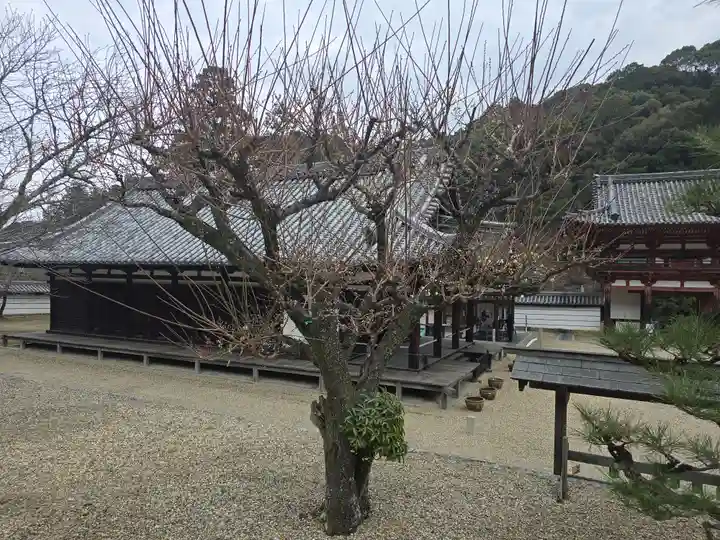 金剛寺(大阪府)