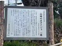 宝蔵院観音堂(埼玉県)