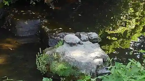 根津神社の庭園