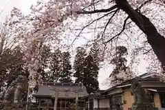 白山神社の自然