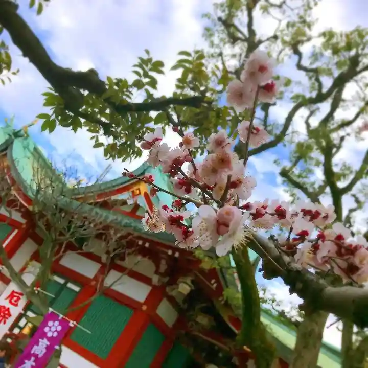 高木神社の自然