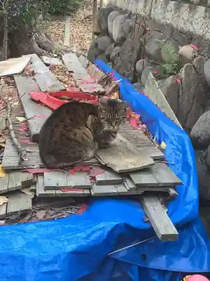 水野社(愛知県)