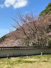 大山祇神社の自然