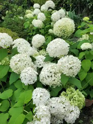 豊景神社(福島県)