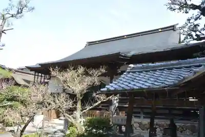 妙照寺の本殿・本堂