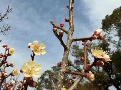 美奈宜神社(福岡県)