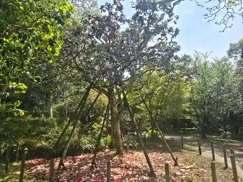 白毫寺(奈良県)