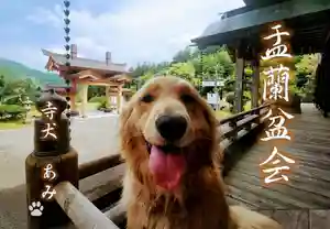 長徳寺の動物(2022年08月14日(日) 08時49分45秒投稿)