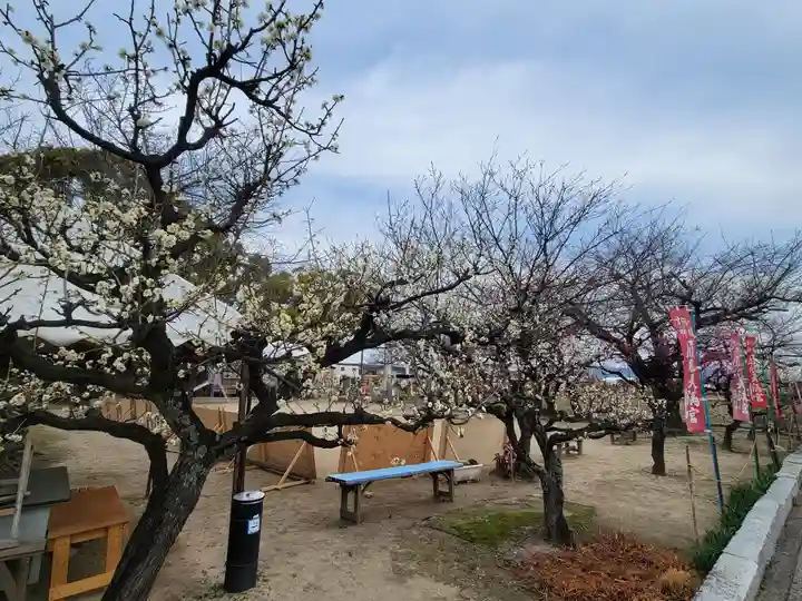履脱天満神社(愛媛県)