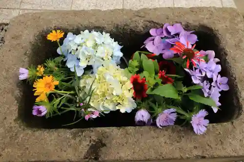 熊野福藏神社の手水舎