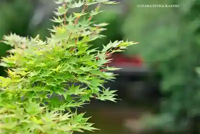 武蔵一宮氷川神社(埼玉県)