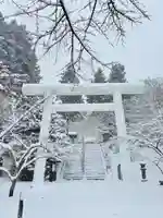 新雪の白大鳥居