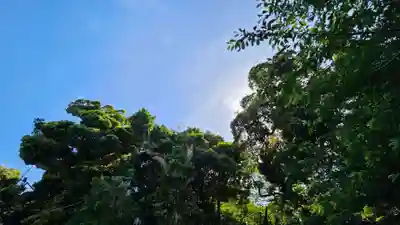 江島神社(神奈川県)