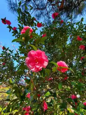 開成山大神宮(福島県)