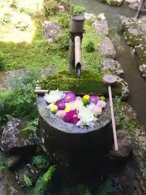 柳谷観音 楊谷寺の手水舎