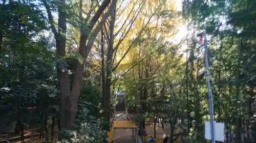 下総国三山　二宮神社のその他建物