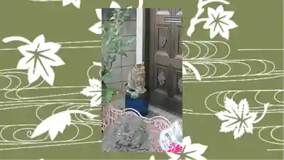 居木神社(東京都)