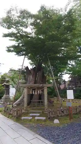 有礒正八幡宮の鳥居