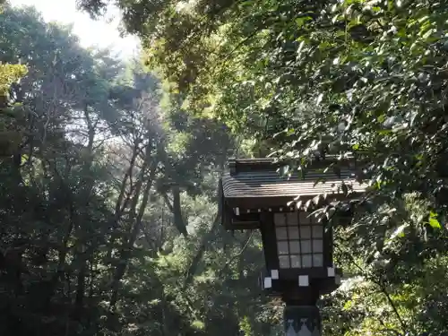 明治神宮(東京都)