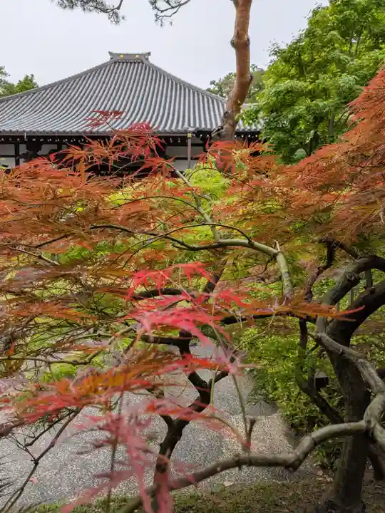 妙法寺(東京都)
