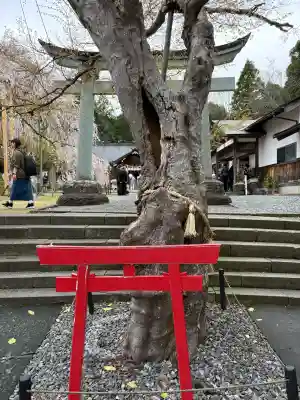 足羽神社の{uncategorized: "未分類", other: "その他", undefined: "問題あり", building: "その他建物", grave: "お墓", sacred_gate: "鳥居", guardian: "狛犬", statue: "像", buddha: "仏像", history: "歴史", nature: "自然", garden: "庭園", animal: "動物", pagoda: "塔", temizu: "手水舎", mountain_gate: "山門・神門", sanctuary: "本殿・本堂", subordinate: "末社・摂社", art: "芸術", scenery: "景色", jizo: "地蔵", ema: "絵馬", goshuin: "御朱印", omikuji: "おみくじ", items: "授与品その他", amulet: "お守り", goshuincho: "御朱印帳", eats: "食事", festival: "お祭り", votive_dance: "神楽", shichigosan: "七五三参", wedding: "結婚式", experience: "体験その他", initially: "初詣", around: "周辺", anti_infection: "感染症対策"}
