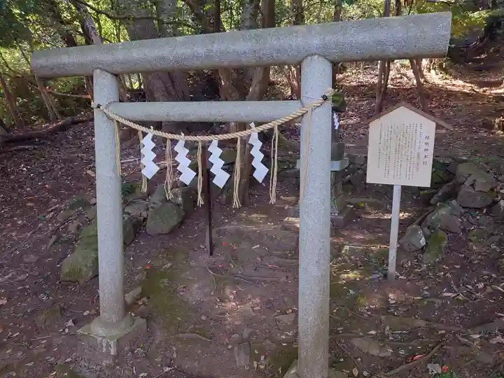 伊豆山神社 本宮社の鳥居
