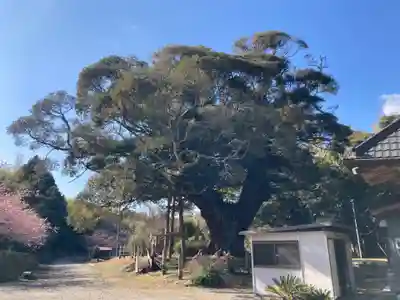 寂光寺(千葉県)