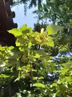 恵光院(福岡県)