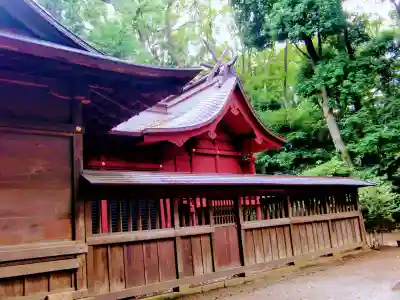 氷川女體神社の本殿・本堂