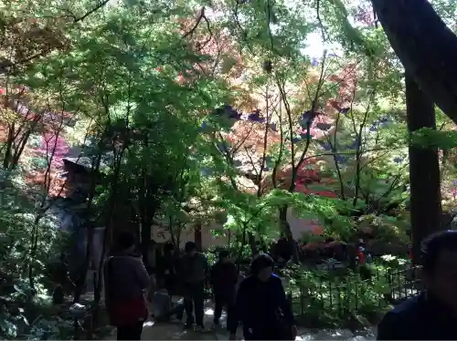 金剛輪寺(滋賀県)