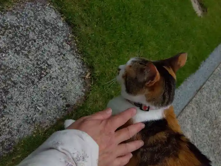 潮音寺(神奈川県)