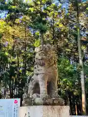 間々田八幡宮の狛犬