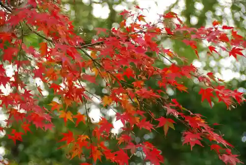 乃木神社(山口県)