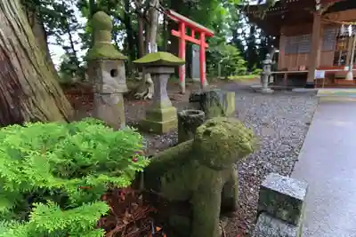 阿久津「田村神社」(郡山市阿久津町)旧社名:伊豆箱根三嶋三社の狛犬