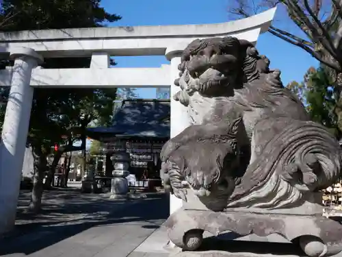 正ノ木稲荷 稲積神社の狛犬