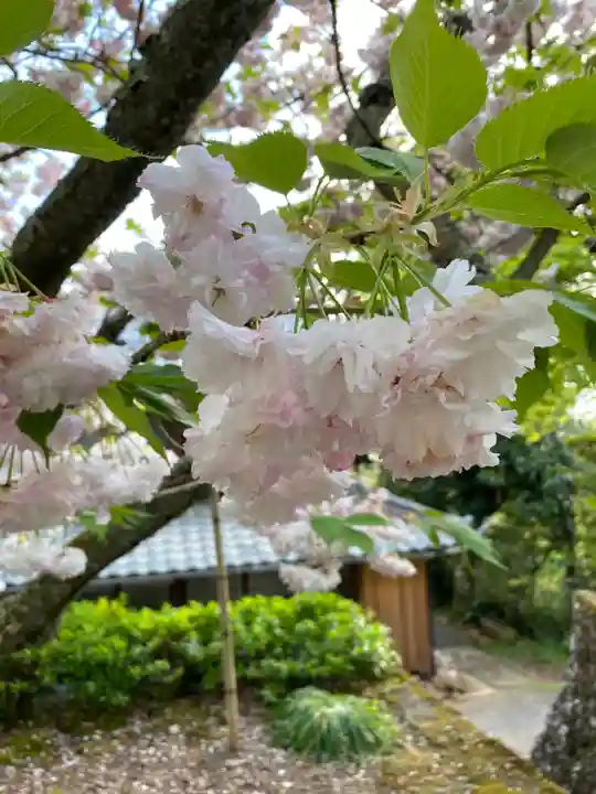 松尾寺(京都府)