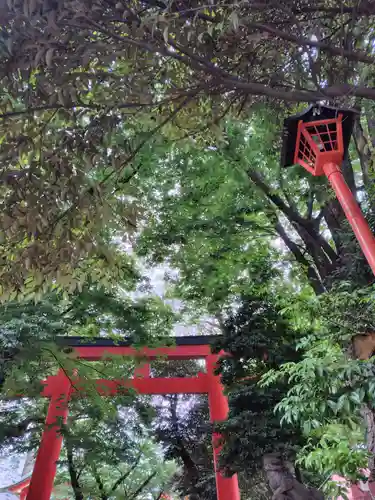 花園神社の自然
