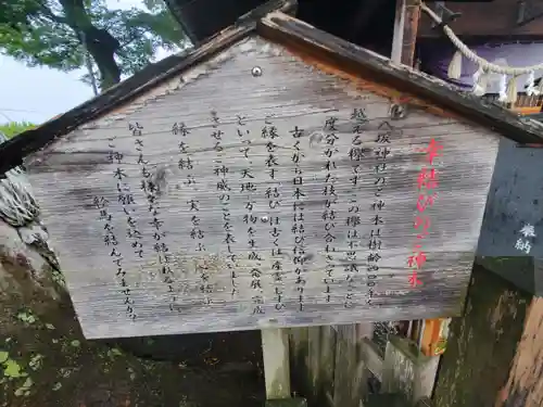守谷総鎮守 八坂神社(茨城県)