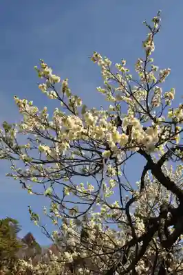 師岡熊野神社(神奈川県)