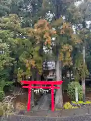 須山浅間神社(静岡県)