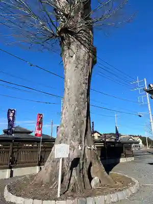 石井神社(茨城県)