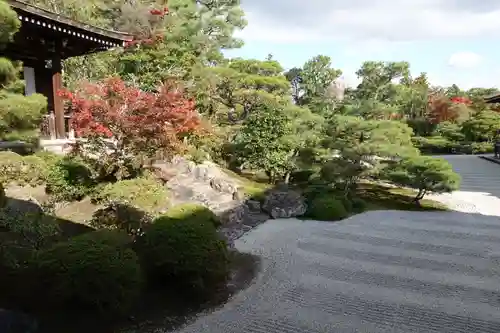 仁和寺の庭園