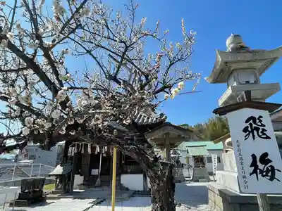 飯塚天満宮(曩祖八幡宮境内社)の自然