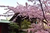 桜神宮(東京都)
