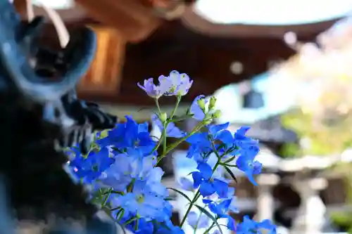 三津厳島神社の自然