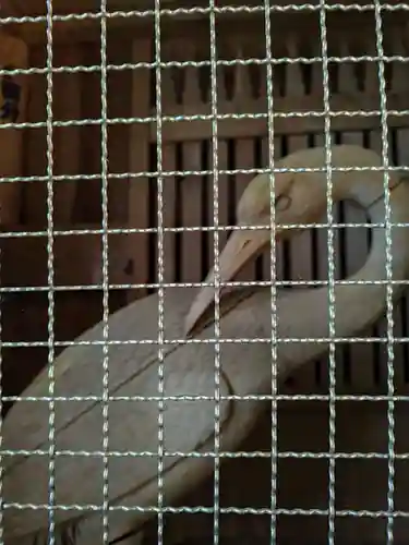 鶴林寺(徳島県)