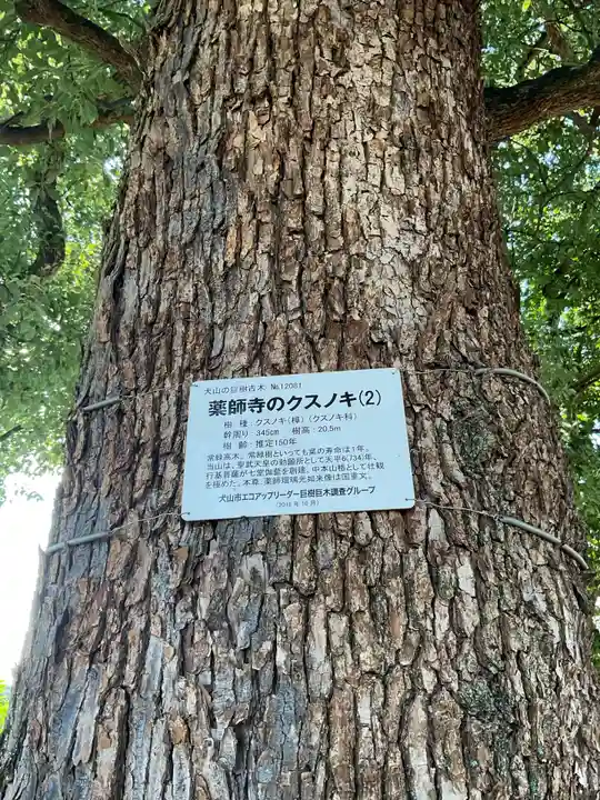 青海山 薬師寺(愛知県)