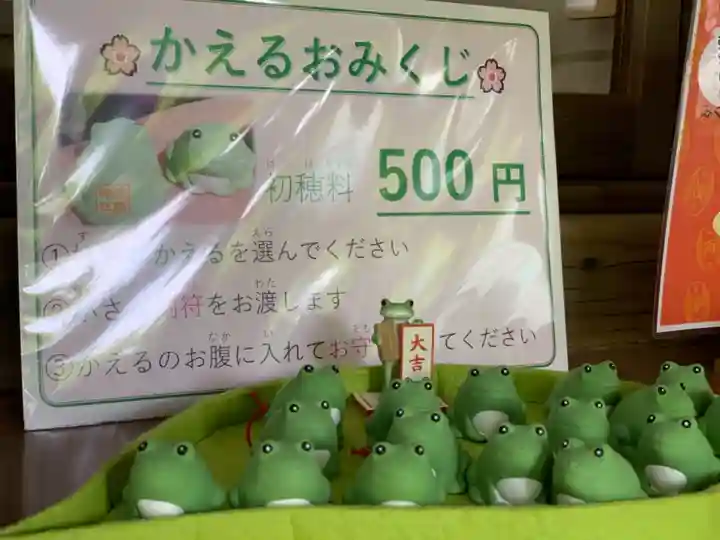 丸子神社 浅間神社のおみくじ